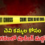 హైదరాబాద్‌లో ఘోరం.. పాత చీర ఇస్తానని పిలిచి.. దారుణంగా చంపేశాడు!