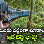 జంగిల్ సఫారీకి రెడీనా? అయితే, మీ కోసమే IRCTC క్రేజీ టూర్ ప్యాకేజీ రెడీ!