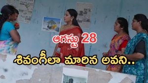 Intinti Ramayanam Today Episode: అక్షయ్ కు అవనిపై అనుమానం.. పల్లవి ప్లాన్ సక్సెస్.. మహంకాళిగా అవని..