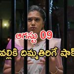 Illu Illalu Pillalu Today Episodes: అడ్డంగా దొరికిపోయిన శ్రీవల్లి.. నర్మదా ప్లాన్ తో మైండ్ బ్లాక్.. ప్రేమ కోసం విశ్వ ప్లాన్..