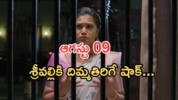 Illu Illalu Pillalu Today Episodes: అడ్డంగా దొరికిపోయిన శ్రీవల్లి.. నర్మదా ప్లాన్ తో మైండ్ బ్లాక్.. ప్రేమ కోసం విశ్వ ప్లాన్..