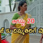 Illu Illalu Pillalu Today Episodes: ప్రేమకు మైండ్ బ్లాక్.. వేదవతి మాటతో ప్రేమ ఫీల్.. ధీరజ్, ప్రేమ ఒక్కటవుతారా..?