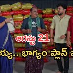 Illu Illalu Pillalu Today Episodes: ధీరజ్ కోసం ప్రేమ కన్నీళ్లు.. డబ్బులు కొట్టేసిన భాగ్యం.. విశ్వం ప్లాన్ సక్సెస్..