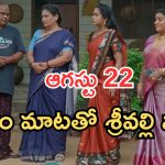 Illu Illalu Pillalu Today Episodes: అత్తను పొగిడేసిన విశ్వ.. భాగ్యం పై వల్లికి అనుమానం.. ప్రేమ కోసం ధీరజ్ టెన్షన్..
