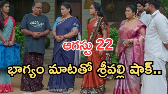 Illu Illalu Pillalu Today Episodes: అత్తను పొగిడేసిన విశ్వ.. భాగ్యం పై వల్లికి అనుమానం.. ప్రేమ కోసం ధీరజ్ టెన్షన్..