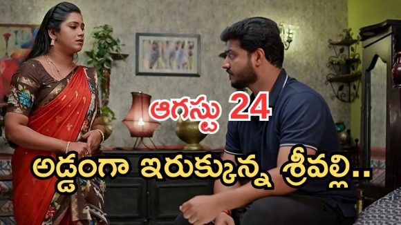 Illu Illalu Pillalu Today Episodes: శ్రీవల్లి ప్లాన్ సక్సెస్ అయ్యిందా..? వేదవతి ప్లాన్ ఏంటి..? చందు దొరికిపోతాడా..?