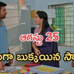 Illu Illalu Pillalu Today Episodes: సుకన్యకు వేదవతి షాక్.. ప్రేమకు దొరికిపోయిన ధీరజ్.. సాగర్ గుట్టు రట్టు..
