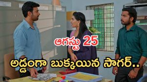 Illu Illalu Pillalu Today Episodes: సుకన్యకు వేదవతి షాక్.. ప్రేమకు దొరికిపోయిన ధీరజ్.. సాగర్ గుట్టు రట్టు..