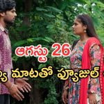 Illu Illalu Pillalu Today Episodes: ఇంట్లో బాంబ్ పేల్చిన ప్రేమ.. శ్రీవల్లి చెంప చెల్లు.. అమూల్య ప్రేమలో పడిందా..?
