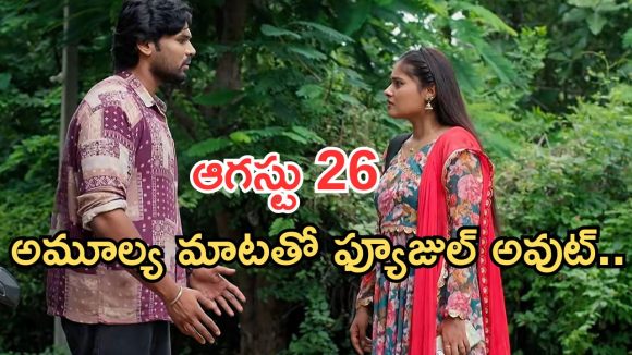 Illu Illalu Pillalu Today Episodes: ఇంట్లో బాంబ్ పేల్చిన ప్రేమ.. శ్రీవల్లి చెంప చెల్లు.. అమూల్య ప్రేమలో పడిందా..?