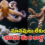 మనిషి లేని భూమికి.. కొత్త బాస్ ఎవరో తెలుసా? సైన్స్ చెప్పే షాకింగ్ నిజాలు!