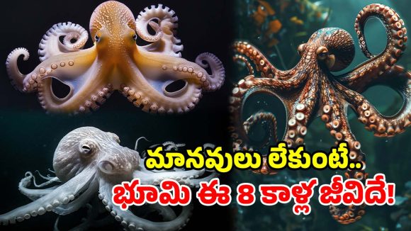 మనిషి లేని భూమికి.. కొత్త బాస్ ఎవరో తెలుసా? సైన్స్ చెప్పే షాకింగ్ నిజాలు!