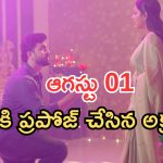 Intinti Ramayanam Today Episode: అయ్యో పాపం అక్షయ్.. శ్రీకర్, కమల్ కు అవని షాక్.. శ్రీయ ప్లాన్ సక్సెస్..