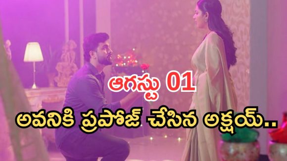 Intinti Ramayanam Today Episode: అయ్యో పాపం అక్షయ్.. శ్రీకర్, కమల్ కు అవని షాక్.. శ్రీయ ప్లాన్ సక్సెస్..