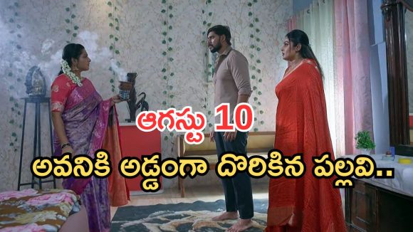 Intinti Ramayanam Today Episode: పల్లవికి టెన్షన్.. అవనికి అడ్డంగా దొరికిన పల్లవి.. అశ్విన్ దెబ్బకు మైండ్ బ్లాక్..