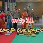 Intinti Ramayanam Today Episode: అవని సేఫ్..పల్లవికి దిమ్మతిరిగే షాక్..భానుమతి కి కమల్ ఝలక్..