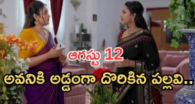 Intinti Ramayanam Today Episode: పల్లవికి కొత్త టెన్షన్.. గోరింటాకు పెట్టుకున్న కోడళ్లు.. పల్లవి పై అవనికి అనుమానం..