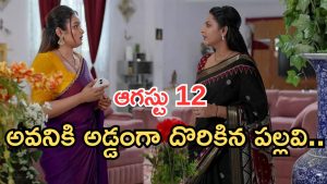 Intinti Ramayanam Today Episode: పల్లవికి కొత్త టెన్షన్.. గోరింటాకు పెట్టుకున్న కోడళ్లు.. పల్లవి పై అవనికి అనుమానం..