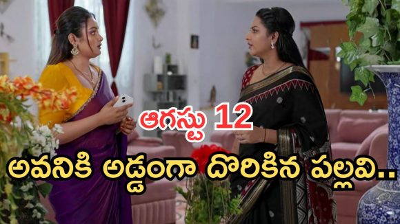 Intinti Ramayanam Today Episode: పల్లవికి కొత్త టెన్షన్.. గోరింటాకు పెట్టుకున్న కోడళ్లు.. పల్లవి పై అవనికి అనుమానం..