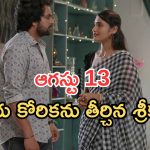 Intinti Ramayanam Today Episode: అక్షయ్ ను ఆడుకున్న అవని.. అడ్డంగా దొరికిన పల్లవి.. శ్రీయా కీలక నిర్ణయం..?