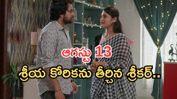 Intinti Ramayanam Today Episode: అక్షయ్ ను ఆడుకున్న అవని.. అడ్డంగా దొరికిన పల్లవి.. శ్రీయా కీలక నిర్ణయం..?