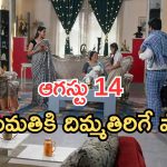 Intinti Ramayanam Today Episode: పల్లవిపై అవనికి అనుమానం.. పల్లవికి అశ్విన్ టెన్షన్.. అక్షయ్ కు కడుపు మంట..