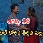 Intinti Ramayanam Today Episode: పల్లవి మాటతో కమల్ హ్యాపీ.. శ్రీయ పై భానుమతి ఫైర్.. అడ్డంగా దొరికిన పల్లవి..