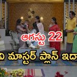 Intinti Ramayanam Today Episode: పల్లవిని చూసి అవని హ్యాపీ.. భానుమతి కక్కుర్తి..పల్లవికి షాకివ్వబోతున్న అశ్విన్..