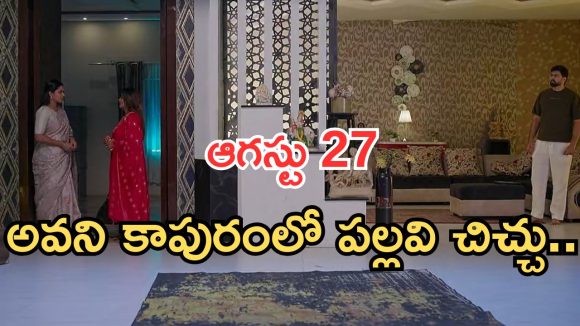 Intinti Ramayanam Today Episode: పల్లవి ప్లాన్ సక్సెస్.. అడ్డంగా బుక్కయిందిగా.. అవని కాపురంలో చిచ్చు..