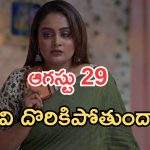 Intinti Ramayanam Today Episode: అక్షయ్ కు అవని దూరం.. పల్లవి దొరికిపోయింది.. పార్వతికి అనుమానం..