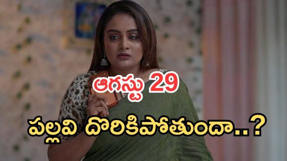 Intinti Ramayanam Today Episode: అక్షయ్ కు అవని దూరం.. పల్లవి దొరికిపోయింది.. పార్వతికి అనుమానం..