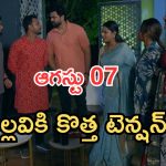 Intinti Ramayanam Today Episode: ఫ్యామిలీ పార్టీ అదుర్స్.. దిమ్మతిరిగే షాకిచ్చిన అవని.. పల్లవికి అశ్విన్ షాక్..