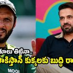 షాహిద్ అఫ్రిదిని కుక్క అంటూ బండ బూతులు తిట్టాను…ఇర్ఫాన్ ప‌ఠాన్ సంచ‌ల‌నం