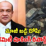 నోట్ల కట్టల కేసులో మాజీ జడ్జికి బిగ్ షాక్.. దోషిగా తేల్చిన కమిటీ.. నివేదికలో షాకింగ్ విషయాలు!