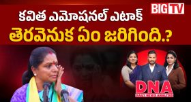 సుప్రీంకోర్టు కీలక నిర్ణయం.. కాక్రోచ్ జనతా పార్టీ నిరసనపై స్టే ఇచ్చేందుకు నిరాకరణ!
