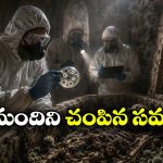 500 ఏళ్ల నాటి సమాధి తెరవగానే వరుస మరణాలు.. రాజు శాపమే ప్రాణాలు తీసిందా?