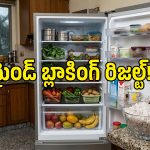 ఫ్రిడ్జ్‌లో ఉప్పు పెడితే ఏమవుతుందో తెలుసా? వర్షాకాలం సమస్యకు పర్ఫెక్ట్ సొల్యూషన్!
