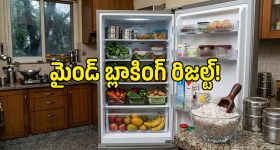 వాస్కోడగామా తెచ్చిన ‘కారం’.. పర్షియన్ల ‘బిర్యానీ’.. భారత్‌లోకి ఎలా వచ్చి చేరాయో తెలిస్తే!
