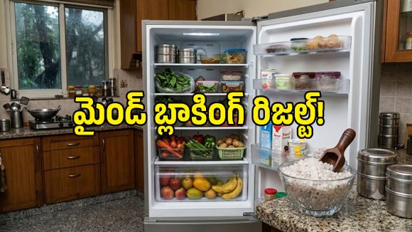 ఫ్రిడ్జ్‌లో ఉప్పు పెడితే ఏమవుతుందో తెలుసా? వర్షాకాలం సమస్యకు పర్ఫెక్ట్ సొల్యూషన్!