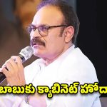 నాగబాబుకు క్యాబినెట్ హోదా.. ఏపీ గ్రీన్ ఎగ్జిక్యూటివ్ కమిటీ ఛైర్మన్‌గా నియామకం!