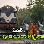 ఈ లోకో పైలెట్ ఎర్రబస్సు డ్రైవర్ లా ఉన్నాడే.. చెయ్యొత్తగానే రైలు ఆపాడు!