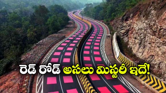 దేశంలోనే తొలి రెడ్ రోడ్.. దట్టమైన అడవిలో దీన్ని ఎందుకు వెశారో తెలిస్తే షాకవ్వాల్సిందే!
