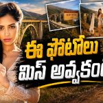 కాలిఫోర్నియా అందాల మధ్య మమతా మోహన్‌దాస్.. ఫొటోలు అదుర్స్!