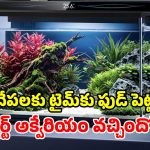 షావోమీ స్మార్ట్ అక్వేరియం.. చేపలు తెచ్చి వేస్తే చాలు.. మిగతాదంతా ఇదే చూసుకుంటుంది!