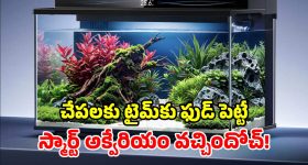 సానియా మీర్జా రెండో పెళ్లి..వ‌రుడు ఎవ‌రంటే ?