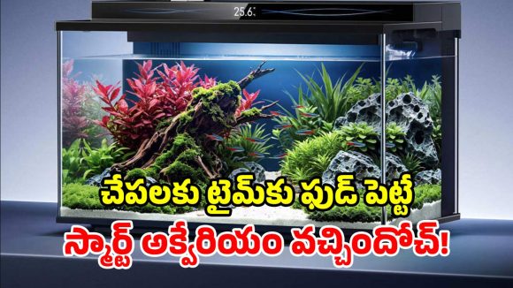 షావోమీ స్మార్ట్ అక్వేరియం.. చేపలు తెచ్చి వేస్తే చాలు.. మిగతాదంతా ఇదే చూసుకుంటుంది!
