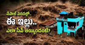 ఏంటీ.. మారుతీ, హుందాయ్‌లో 5 స్టార్ సేఫ్టీ కార్లు ఉన్నాయా? ఇదిగో లిస్టు!