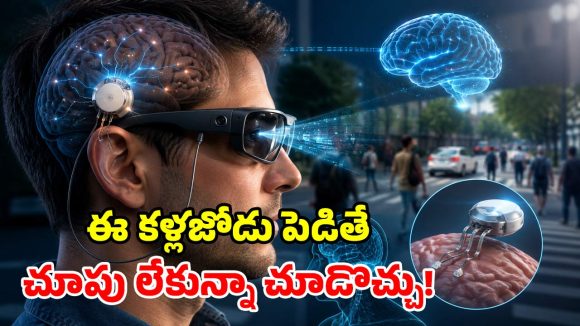 ఇది కలా? నిజమా?.. కళ్లు లేకపోయినా చూడొచ్చట.. మస్క్ కొత్త ‘చిప్’ మాయాజాలం!