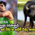 పాతాళానికి ప‌డిపోయిన అర్షద్ నదీమ్..80 మీట‌ర్లు కూడా విస‌ర‌లేదంటూ