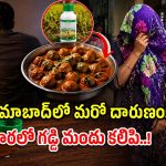 హార్పిక్ ఘటన మరువక ముందే.. కూరలో విషం కలిపి భర్త, అత్తపై హత్యాయత్నం!